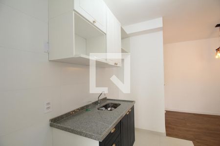 Apartamento para alugar com 51m², 2 quartos e 1 vagaCozinha - Armários