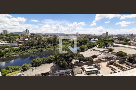 Apartamento para alugar com 38m², 2 quartos e 1 vagaVista da Área de Serviço