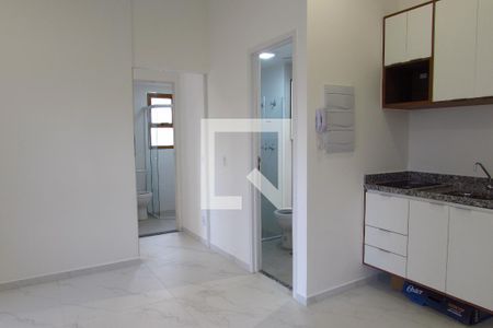 Apartamento para alugar com 46m², 1 quarto e sem vagaCozinha