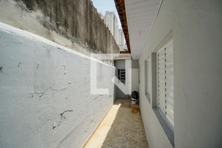 Casa de condomínio para alugar com 77m², 3 quartos e sem vaga Casa de condomínio para alugar com 77m², 3 quartos e sem vagaQuintal