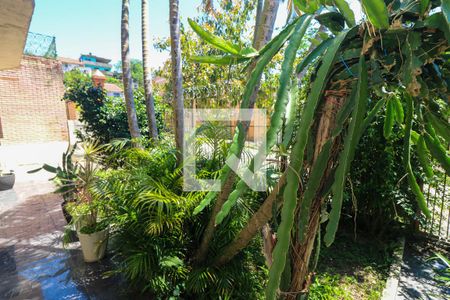 Casa à venda com 302m², 3 quartos e 3 vagasJardim