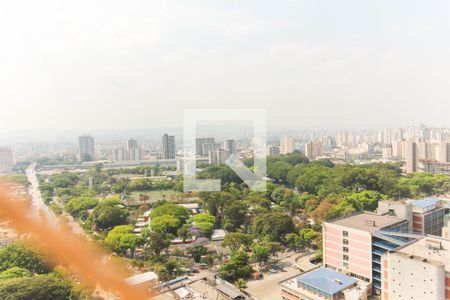 Vista Da Sala de apartamento para alugar com 2 quartos, 63m² em Mooca, São Paulo