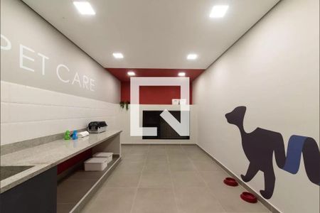 Studio para alugar com 27m², 1 quarto e sem vagaPet care