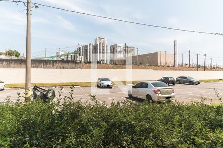 Apartamento para alugar com 55m², 2 quartos e 1 vaga Apartamento para alugar com 55m², 2 quartos e 1 vagaVista do Quarto 1