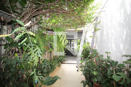 Casa à venda com 360m², 3 quartos e 3 vagasQuintal