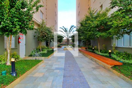 Apartamento à venda com 70m², 2 quartos e 1 vaga Apartamento à venda com 70m², 2 quartos e 1 vagaÁrea comum