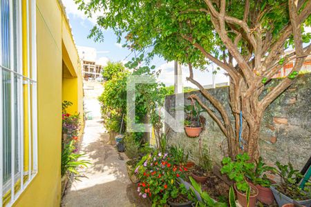 Casa para alugar com 200m², 3 quartos e 1 vagaJardim