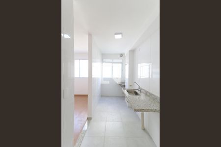 Cozinha de apartamento para alugar com 2 quartos, 45m² em Água Santa, Rio de Janeiro