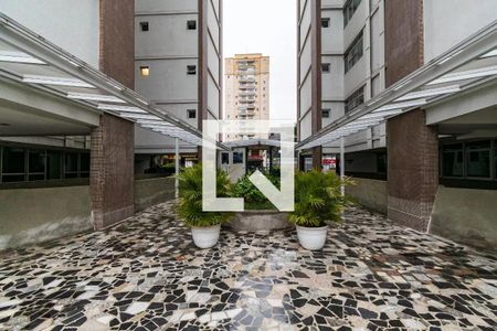 Apartamento para alugar com 85m², 3 quartos e 1 vaga Apartamento para alugar com 85m², 3 quartos e 1 vagaEntrada