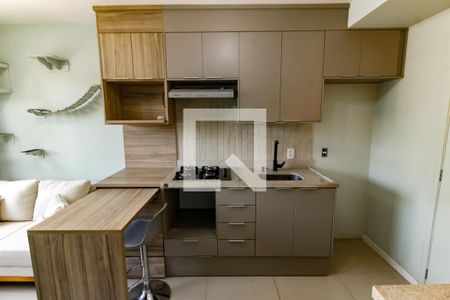 Apartamento para alugar com 24m², 1 quarto e sem vagaCozinha - Armários