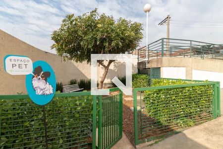 Apartamento para alugar com 62m², 2 quartos e 1 vagaCondomínio - Espaço Pet 