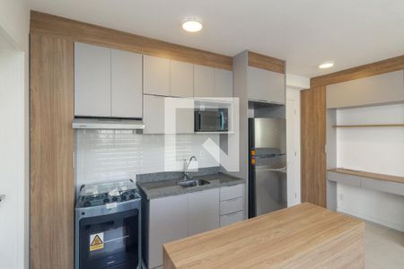 Apartamento para alugar com 33m², 1 quarto e sem vagaCozinha