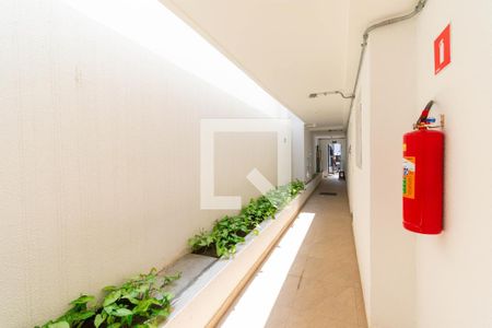 Apartamento para alugar com 37m², 2 quartos e sem vaga Apartamento para alugar com 37m², 2 quartos e sem vagaÁrea comum