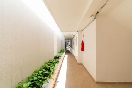 Apartamento para alugar com 37m², 2 quartos e sem vaga Apartamento para alugar com 37m², 2 quartos e sem vagaÁrea comum