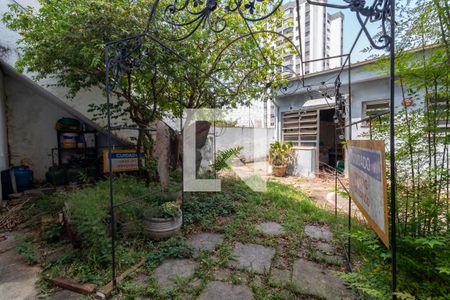 Casa para alugar com 400m², 5 quartos e 5 vagasQuintal