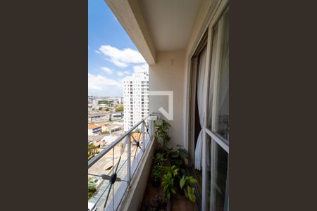 Sala/varanda de apartamento à venda com 3 quartos, 74m² em Vila Prudente, São Paulo