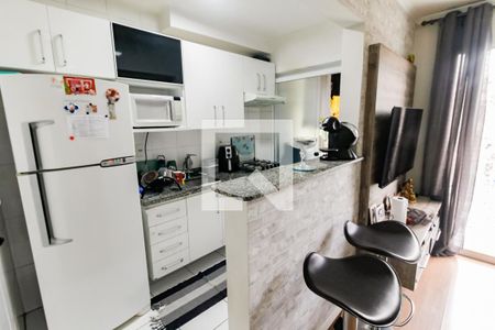 Cozinha - Armários de apartamento à venda com 2 quartos, 50m² em Vila Sonia, São Paulo