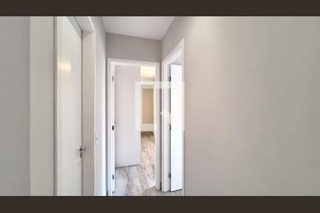 Corredor de apartamento para alugar com 2 quartos, 75m² em Vila Ipojuca , São Paulo