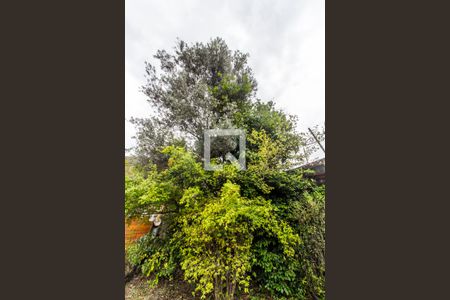 Casa de condomínio à venda com 310m², 3 quartos e 3 vagasQuintal