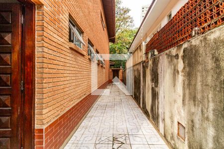 Casa para alugar com 385m², 4 quartos e 5 vagasQuintal