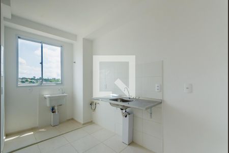 Cozinha de apartamento para alugar com 2 quartos, 52m² em Serrano, Belo Horizonte