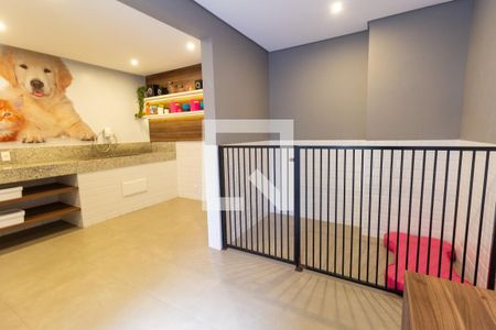Apartamento para alugar com 38m², 2 quartos e sem vagaÁrea comum - Pet Care