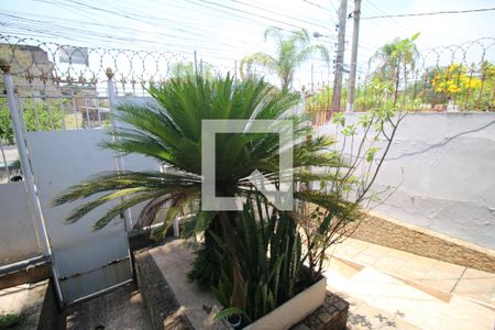 Casa à venda com 300m², 3 quartos e 2 vagasQuintal - Frente e Jardim