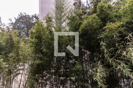 Apartamento à venda com 260m², 3 quartos e 3 vagasVista da Suíte 3