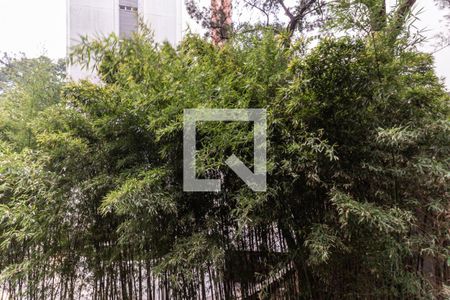 Apartamento à venda com 260m², 3 quartos e 3 vagasVista da Suíte 1