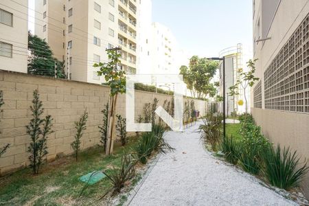 Apartamento para alugar com 38m², 2 quartos e sem vagaCondomínio - Espaço Pet 