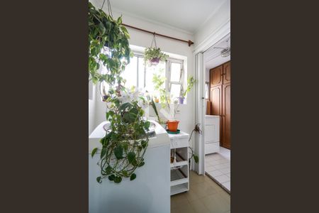 Apartamento à venda com 86m², 3 quartos e 2 vagasÁrea de serviço