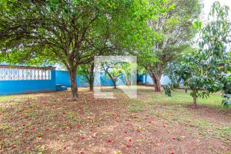 Casa para alugar com 948m², 4 quartos e 6 vagas Casa para alugar com 948m², 4 quartos e 6 vagasPomar