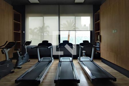 Apartamento à venda com 257m², 3 quartos e 4 vagasÁrea comum - Academia