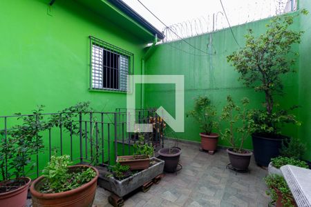 Casa à venda com 250m², 4 quartos e 2 vagasQuintal