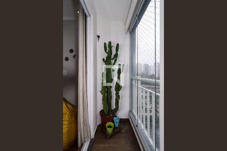 Varanda da Sala de apartamento para alugar com 2 quartos, 54m² em Parque Reboucas, São Paulo
