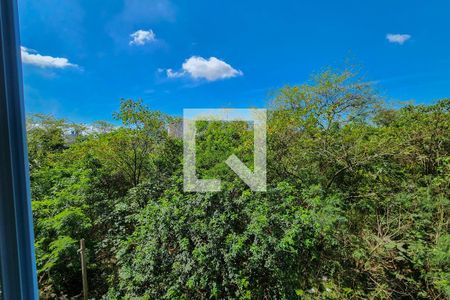 Apartamento para alugar com 38m², 2 quartos e sem vagaVista do Quarto 2