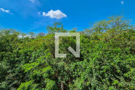Vista do Quarto 1 de apartamento para alugar com 2 quartos, 38m² em Jardim Sao Saverio, São Bernardo do Campo