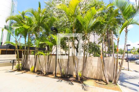 Apartamento para alugar com 45m², 2 quartos e 1 vaga Apartamento para alugar com 45m², 2 quartos e 1 vagaÁrea comum