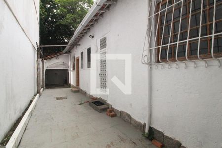 Studio para alugar com 160m², 2 quartos e sem vagaQuintal