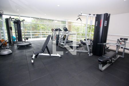 Apartamento para alugar com 278m², 4 quartos e 4 vagasÁrea comum - Academia