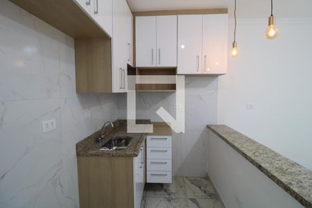Cozinha de apartamento para alugar com 1 quarto, 30m² em Vila Campo Grande, São Paulo