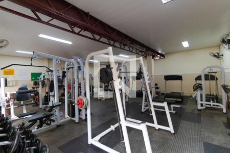 Apartamento à venda com 67m², 2 quartos e 1 vaga Apartamento à venda com 67m², 2 quartos e 1 vagaÁrea comum - Academia