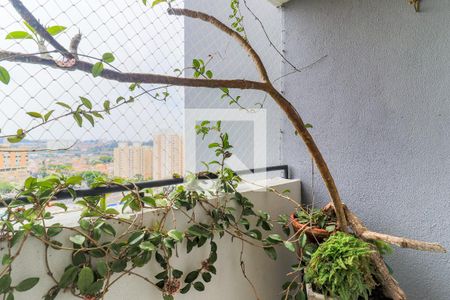 Apartamento para alugar com 54m², 2 quartos e 1 vagaVaranda da Sala