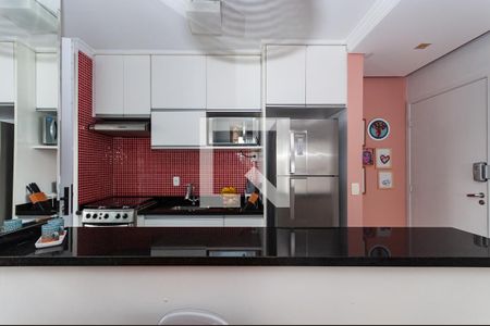 Apartamento para alugar com 52m², 2 quartos e 1 vaga Apartamento para alugar com 52m², 2 quartos e 1 vagaCozinha Americana