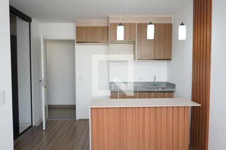 Apartamento para alugar com 52m², 2 quartos e sem vagaCozinha