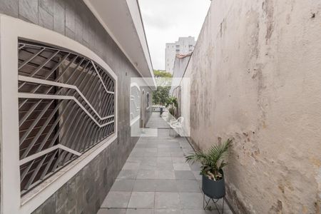 Quintal de casa à venda com 4 quartos, 250m² em Cidade Patriarca, São Paulo