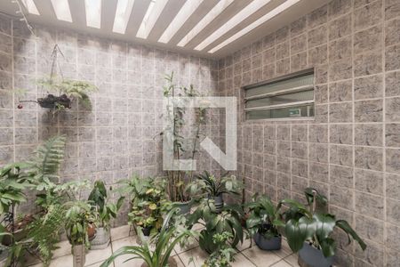 Jardim de casa à venda com 4 quartos, 250m² em Cidade Patriarca, São Paulo