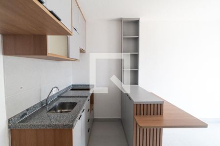 Sala/Cozinha de apartamento para alugar com 1 quarto, 29m² em Vila Santa Catarina, São Paulo