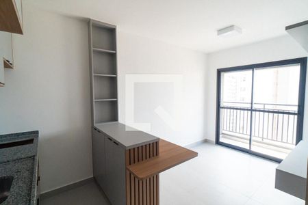 Sala/Cozinha de apartamento para alugar com 1 quarto, 29m² em Vila Santa Catarina, São Paulo