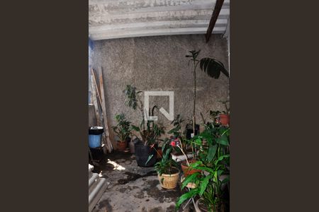 Casa à venda com 125m², 3 quartos e sem vagaDetalhe - Quintal